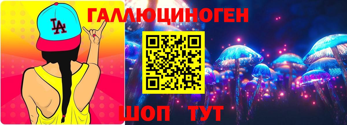 Псилоцибиновые грибы GOLDEN TEACHER Елизово